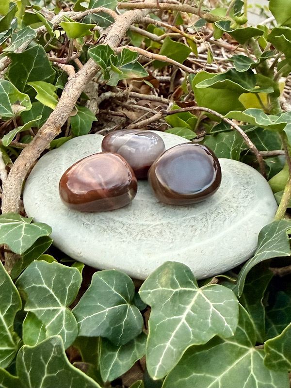 Bois fossilisé roulé