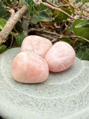 Morganite roulée