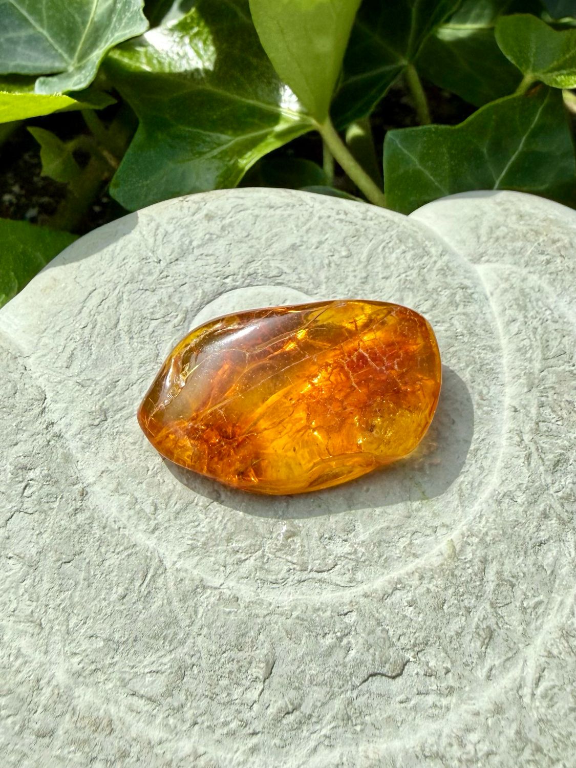 Ambre jaune roulée | moyen