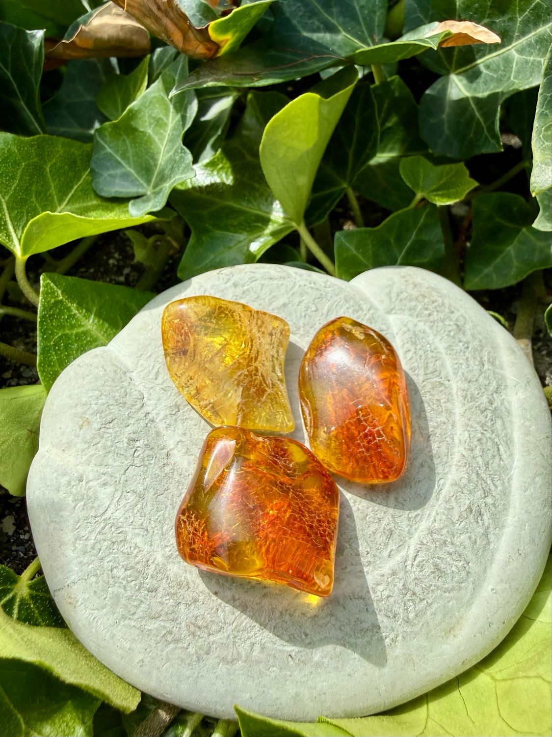 Ambre jaune roulée | moyen