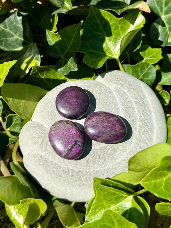 Purpurite plate