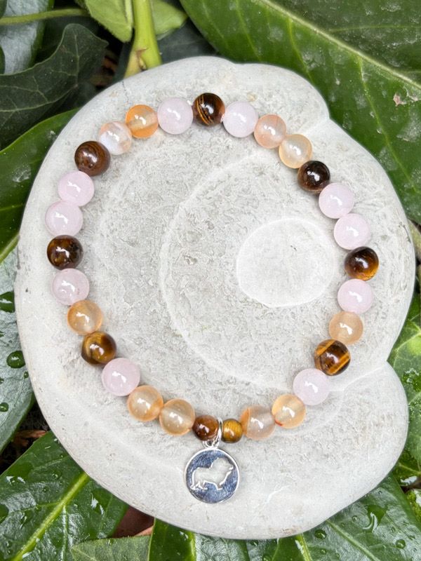 Bracelet astrologique Lion équilibré