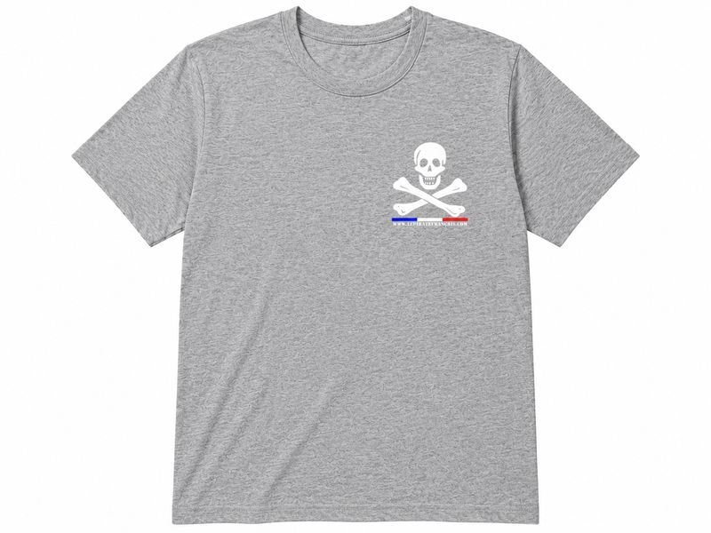 PIRATE GRIS 2