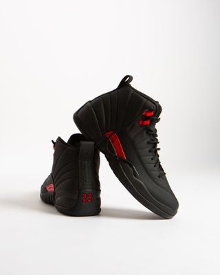 Air Jordan 12 'Bloodline'