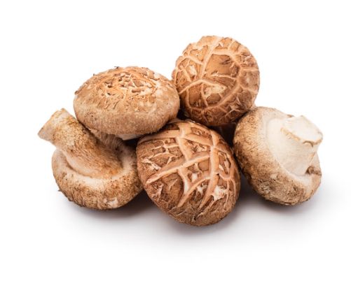 Shiitake Mushroom - 花菇