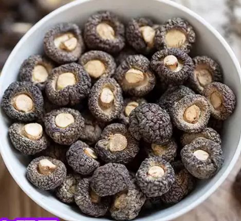 Shimeji Mushroom - 一口菇