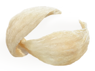 Bird’s nest- 燕窝