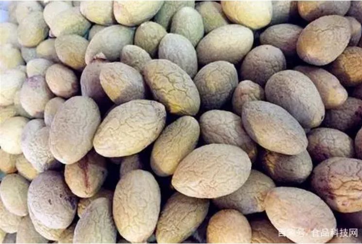 Chinese Olive - 橄榄