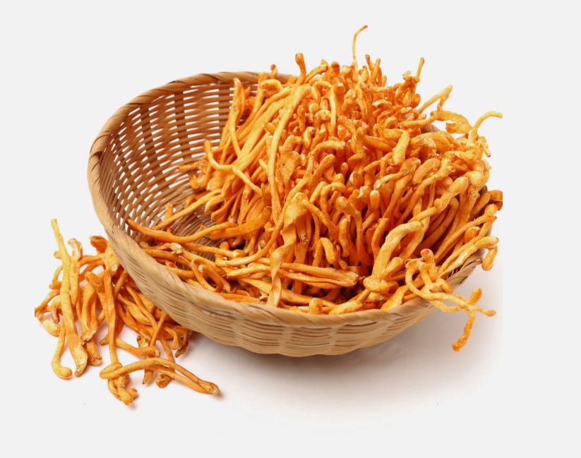 Cordyceps Flower- 虫草花