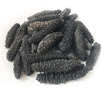 Dried Sea Cucumber - 干海参