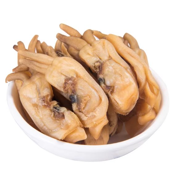 Dried Aandworm- 无沙圣干