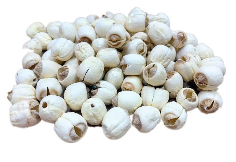 White Lotus Seeds - 白莲子