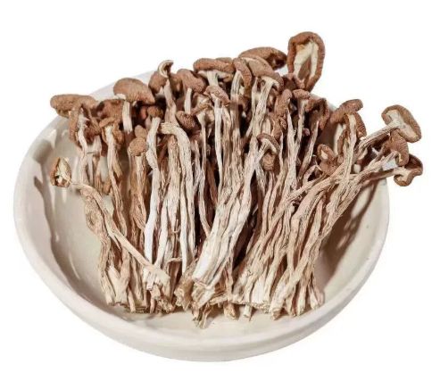 Tea Tree Mushroom- 茶树菇