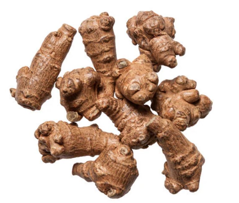 Notoginseng - 田七