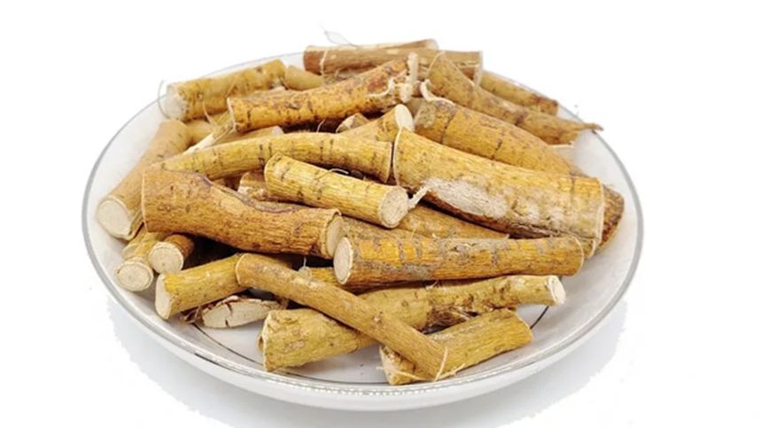 Hispid Fig Root - 五指毛桃