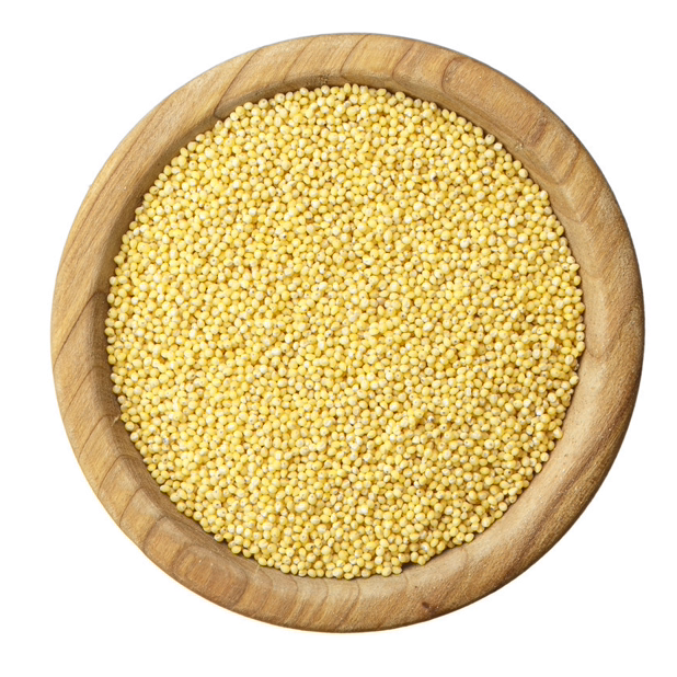 Yellow Millet - 小黄米