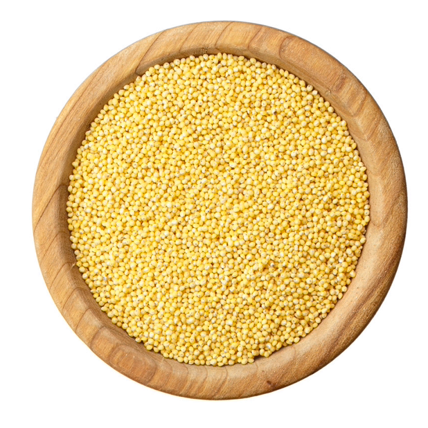 Yellow Millet - 小黄米