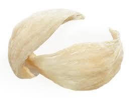 燕窝 - Bird’s Nest Saliva