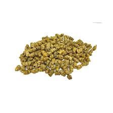 Dendrobium Huoshanense - 霍山石斛