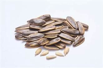 Sunflower Seeds – 葵瓜子
