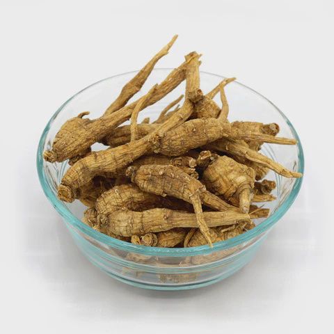 Ginseng - 花旗蔘