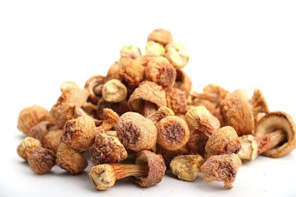 Himematsutake Mushroom - AA姬鬆茸