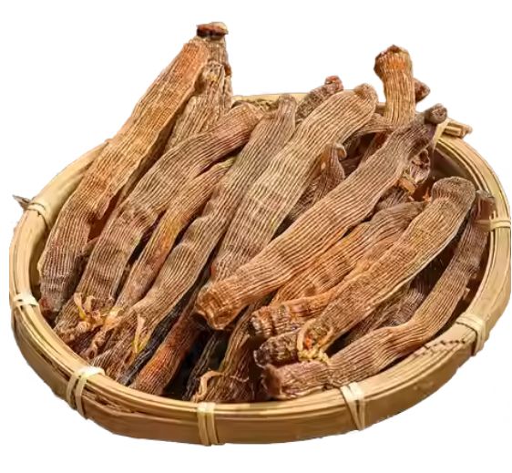 Dried Sandworms - 干沙虫