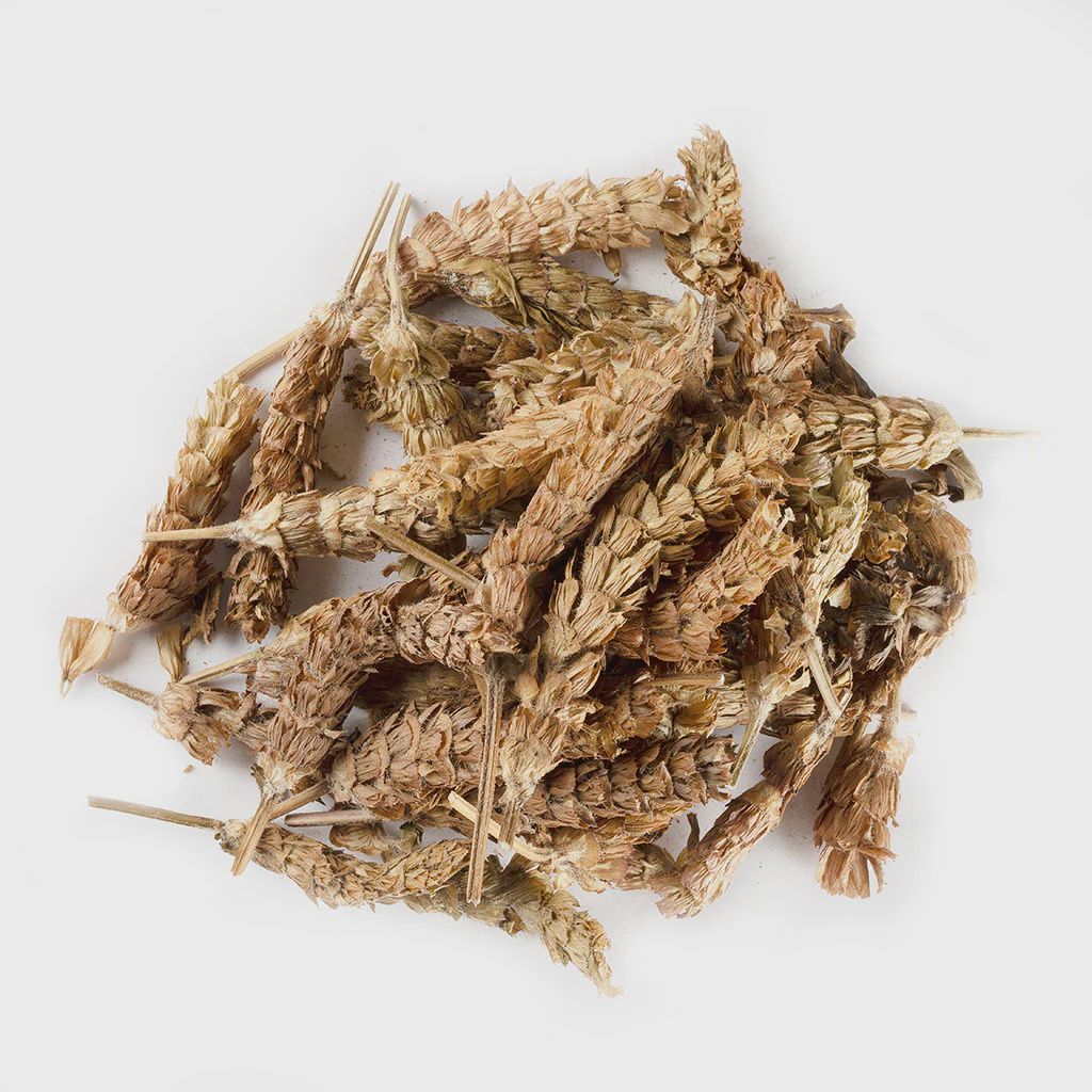 Prunella - 夏枯草