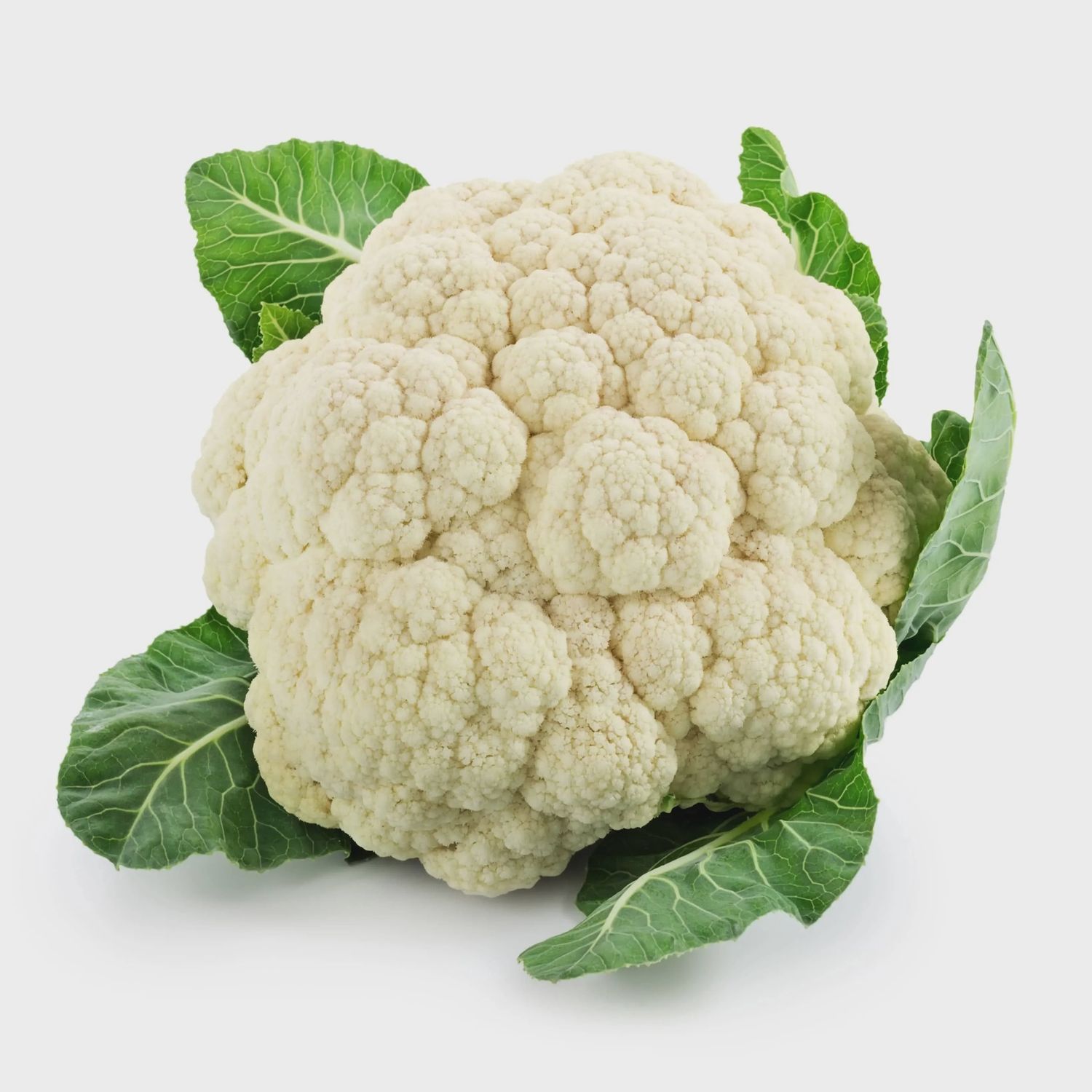 Cauliflower - 菜花