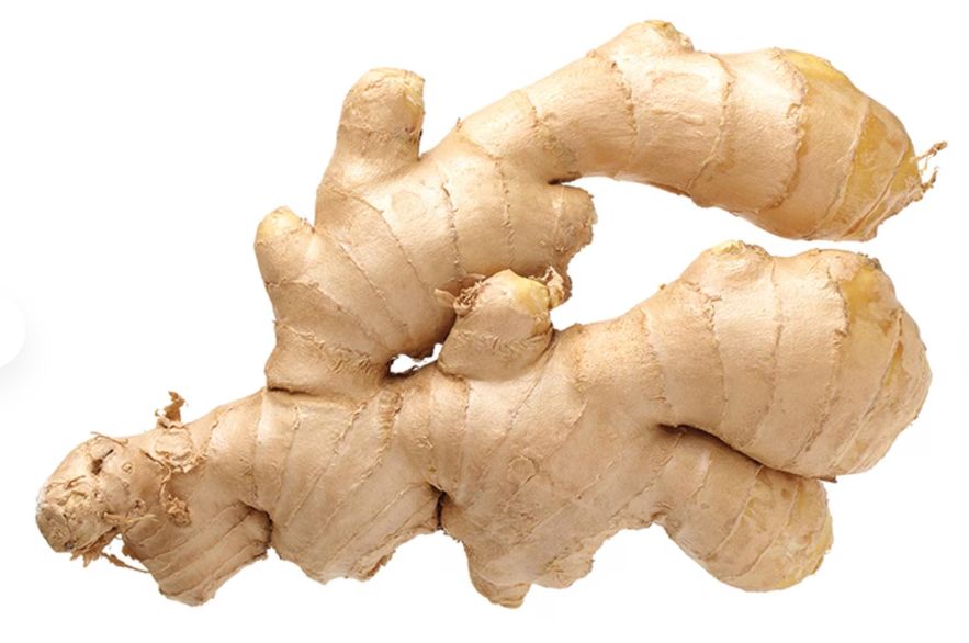 Ginger - 生姜