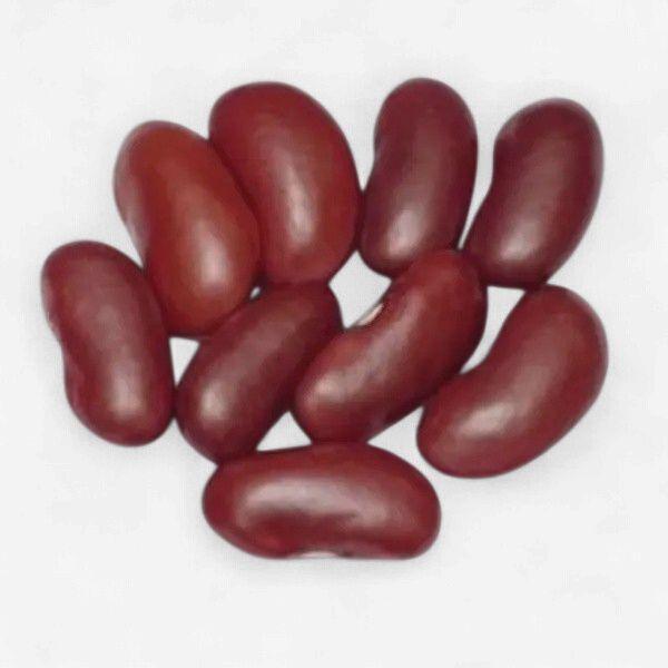 红腰豆-red kidney bean