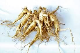American Ginseng - 礼盒