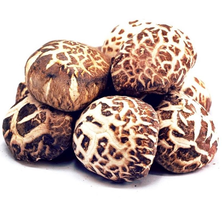 特级日本椎茸 - Premium Japanese Shiitake Mushroom