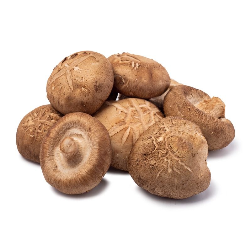Shiitake Mushroom - 香菇