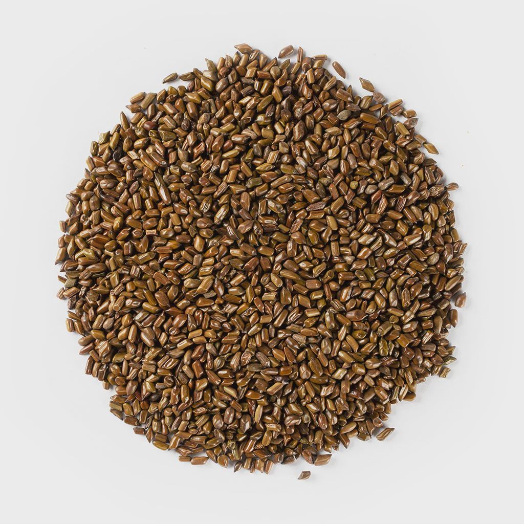 Cassia Seed - 决明子