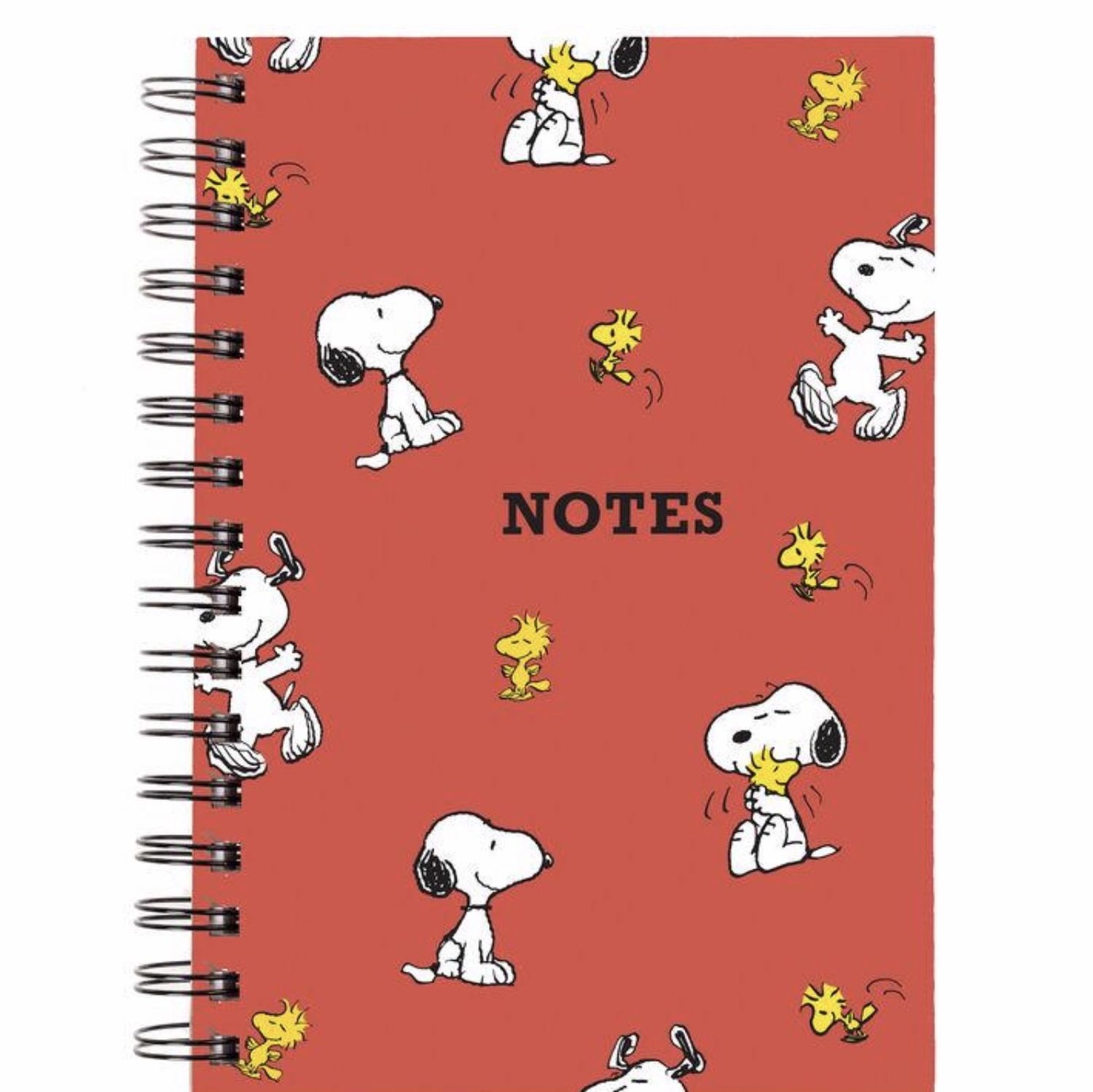 Funny Note Book