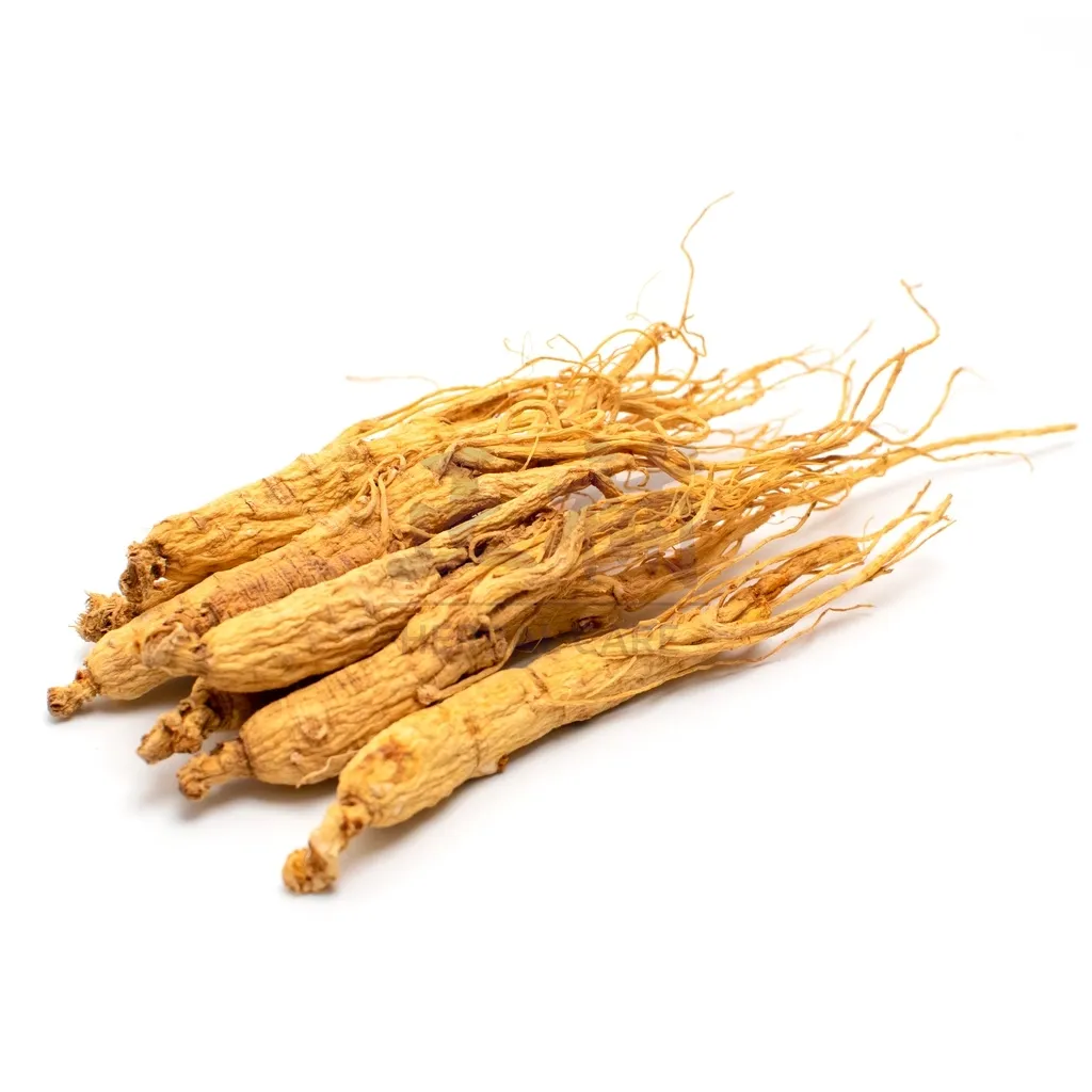 长白山人参 - Changbai Mountain Ginseng