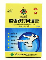 Musk Bruise &amp; Rheumatism Relief Plaster - 麝香跌打风湿膏