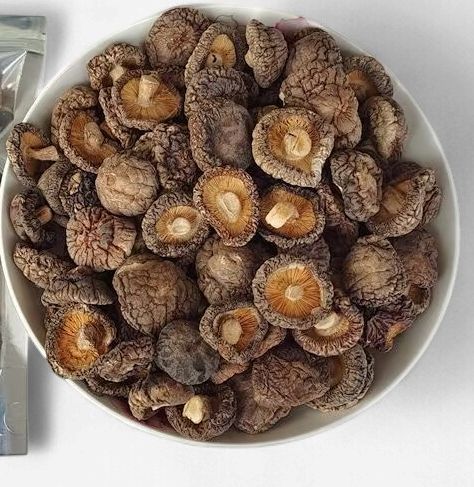 Yunnan Wild Shiitake Mushrooms - 云南野生香菇