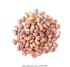 Colorful Peanuts - 七彩花生