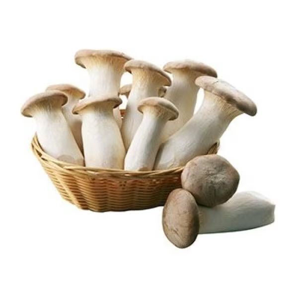 King Oyster Mushroom Slices - 杏鲍菇大片
