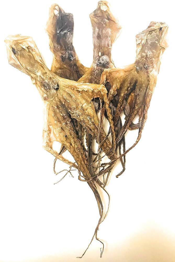 Beihai Dried White Octopus - 北海白章鱼