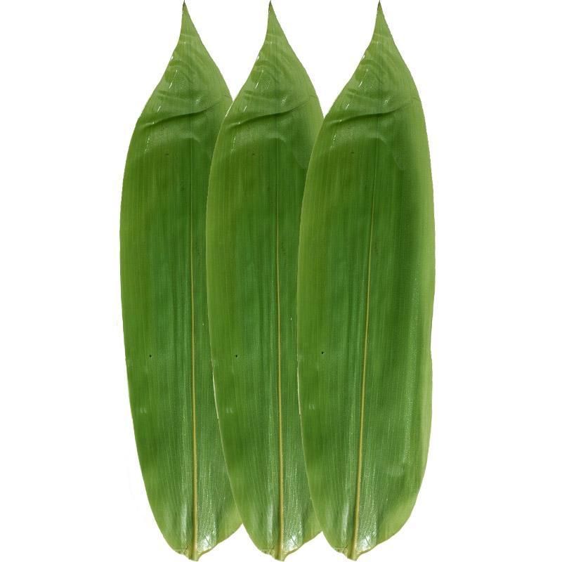 Bamboo Leaves - 特级鲜粽叶