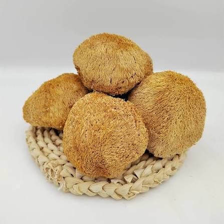 Lion’s Mane Mushroom - 猴头菇