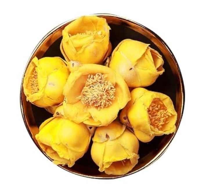 Golden Camellia - 金花茶