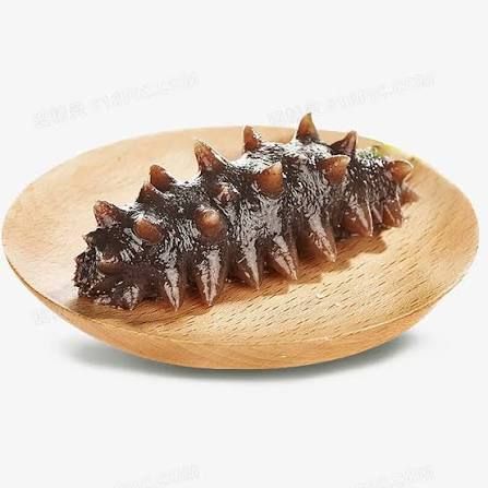 Fresh Sea Cucumber - 急冻新鲜海参
