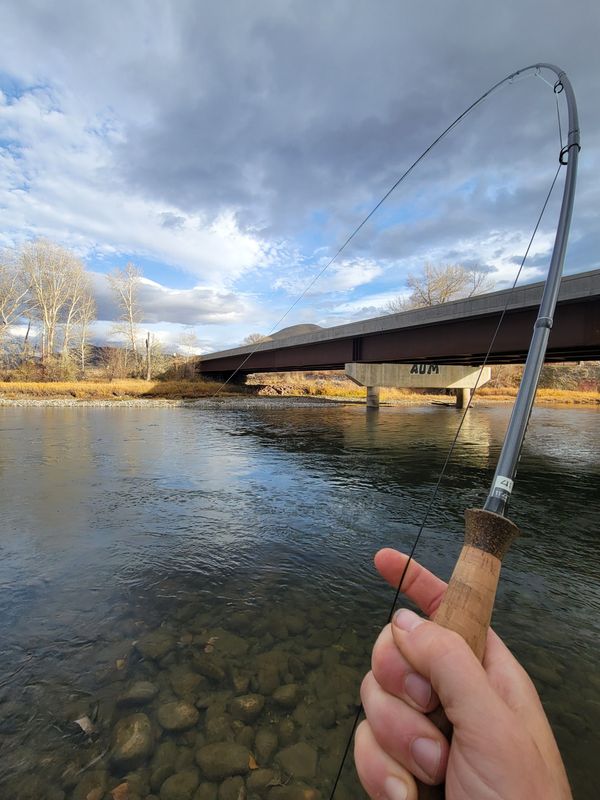 Fly Fishing