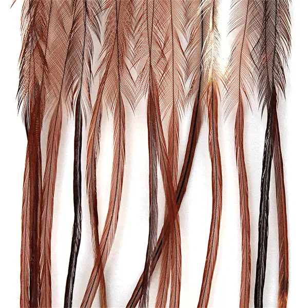 Whiting 100 Hackle Pack