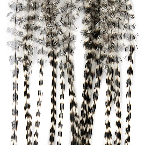 Whiting 100 Hackle Pack