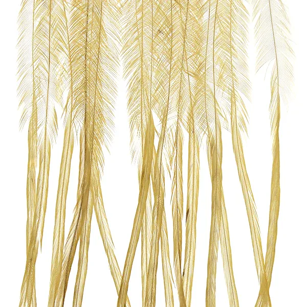 Whiting 100 Hackle Pack